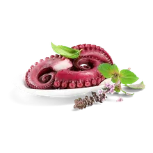 Pulpo gekocht Pulpo gekocht