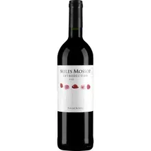 Miles Mossop Introduction Red Miles Mossop Introduction Red