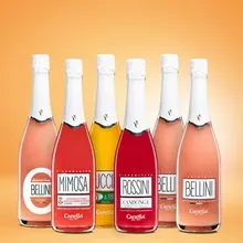 Canella Canella Probierpaket - Bellini, Mimosa, Puccini, Rossini 5+1 Canella Canella Probierpaket - Bellini, Mimosa, Puccini, Rossini 5+1