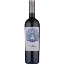 Elvi Clos Mesorah 2022 Elvi Clos Mesorah 2022