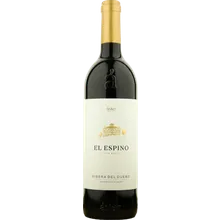 Aster El Espino 2020 Aster El Espino 2020