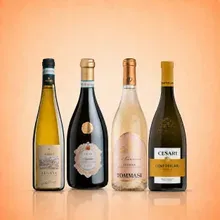 Vinolisa Selezione Lugana Probierpaket Vinolisa Selezione Lugana Probierpaket