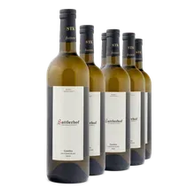 2024 Gamlitz Sauvignon Blanc 2024 Gamlitz Sauvignon Blanc