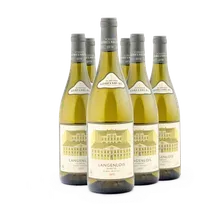 2025 Langenlois Kamptal Grüner Veltliner 2025 Langenlois Kamptal Grüner Veltliner