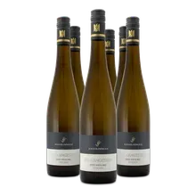2020 Vulkangestein Riesling trocken 2020 Vulkangestein Riesling trocken