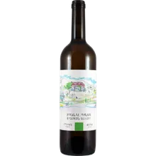 Nikalas Marani Mtsvane 2024 Nikalas Marani Mtsvane 2024