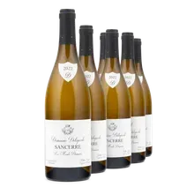 2022 Sancerre Blanc AC Les Monts Damnés 2022 Sancerre Blanc AC Les Monts Damnés