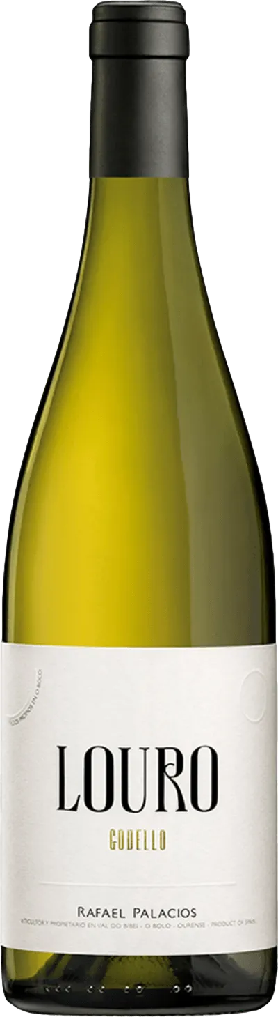 Rafael Palacios Louro 2024 Rafael Palacios Louro 2024