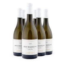 2021 Bourgogne AC Cote d'Or 2021 Bourgogne AC Cote d'Or