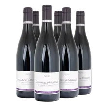 2020 Chambolle-Musigny Premier Cru AC Les Chatelots 2020 Chambolle-Musigny Premier Cru AC Les Chatelots