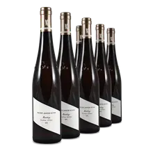 2019 Oestrich Doosberg Riesling trocken GG 2019 Oestrich Doosberg Riesling trocken GG