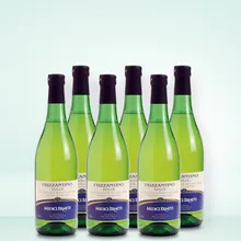 Medici Ermete Frizzantino 6er Vorratspaket Medici Ermete Frizzantino 6er Vorratspaket