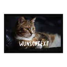Personalisierte Fußmatte mit Katzenfoto und Wunschtext 60 x 40 cm Personalisierte Fußmatte mit Katzenfoto und Wunschtext 60 x 40 cm