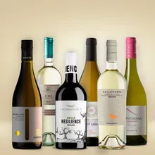 Vinolisa Selezione Weißwein-Expedition durch Italien Vinolisa Selezione Weißwein-Expedition durch Italien