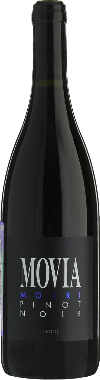 Movia Modri Pinot Noir 2021 Movia Modri Pinot Noir 2021
