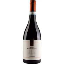 Tenuta Antonini Corium Montepulciano d%27Abruzzo DOC Tenuta Antonini Corium Montepulciano d%27Abruzzo DOC