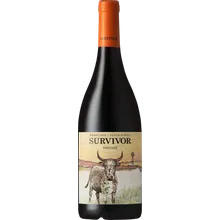 Survivor Pinotage 2023 Survivor Pinotage 2023