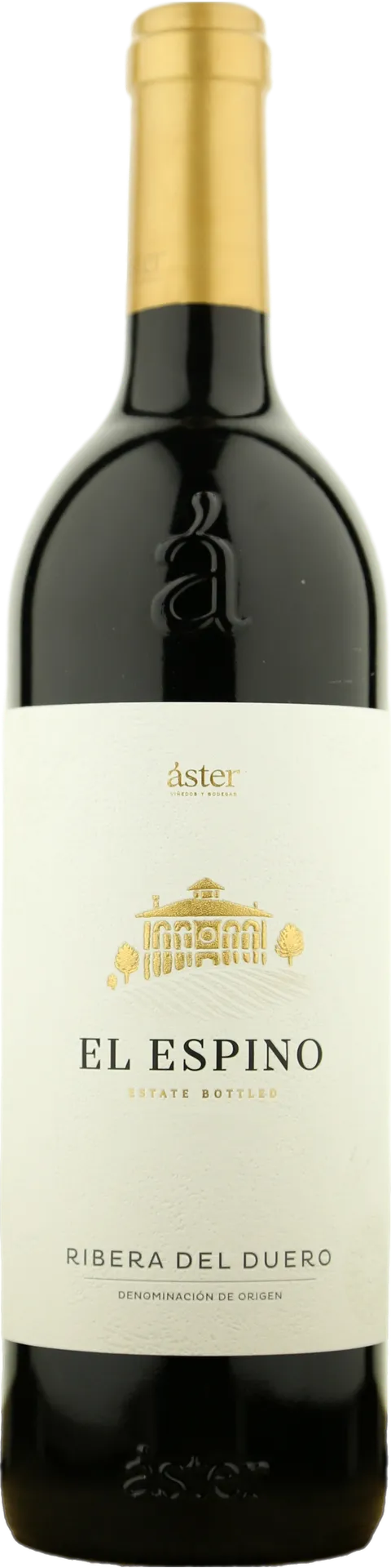 Aster El Espino 2020 Aster El Espino 2020