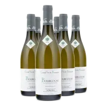 2023 Bourgogne Blanc AC 2023 Bourgogne Blanc AC