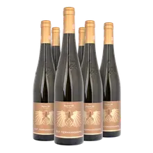 2021 Traiser Bastei Riesling GG trocken 2021 Traiser Bastei Riesling GG trocken