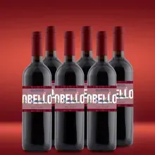 Medici Ermete Obello Rosso 6er Vorratspaket Medici Ermete Obello Rosso 6er Vorratspaket