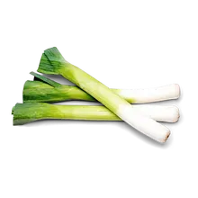 Lauch Lauch