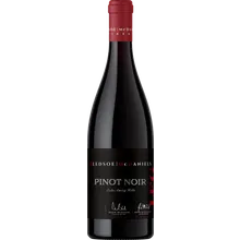Bledsoe McDaniels LFG Pinot Noir 2023 Bledsoe McDaniels LFG Pinot Noir 2023