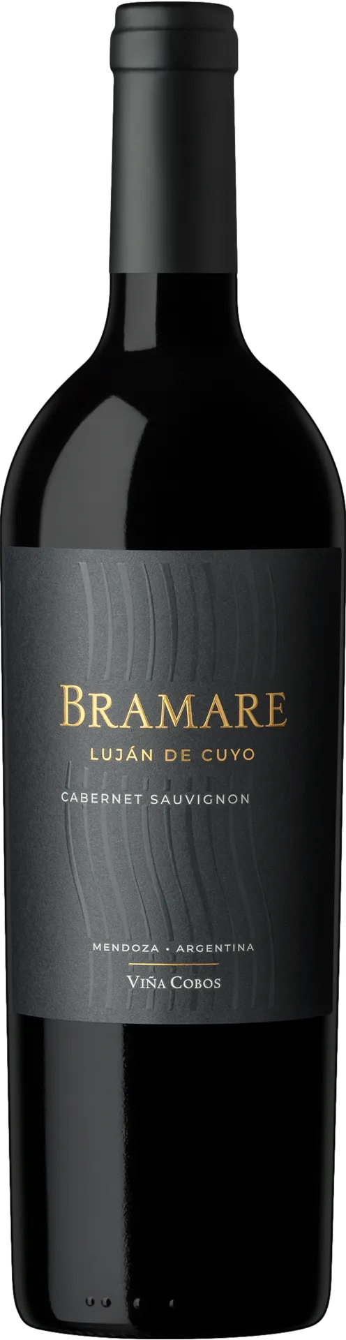 Vina Cobos Bramare Lujan de Cuyo Cabernet Sauvignon 2019 Vina Cobos Bramare Lujan de Cuyo Cabernet Sauvignon 2019