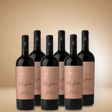 Leone de Castris Villa Santera Primitvo 6er Vorratspaket Leone de Castris Villa Santera Primitvo 6er Vorratspaket