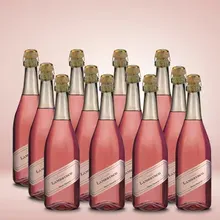 Medici Ermete Lambrusco dell' Emilia Rosato Dolce 12er Vorratspaket Medici Ermete Lambrusco dell' Emilia Rosato Dolce 12er Vorratspaket