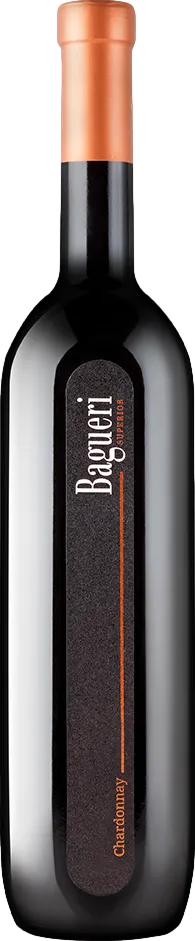 Klet Brda Bagueri Chardonnay 2021 Klet Brda Bagueri Chardonnay 2021