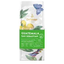 Röstkunst Guatemala San Sebastian 250g gemahlen Röstkunst Guatemala San Sebastian 250g gemahlen