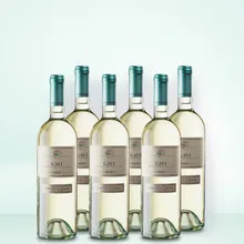Marchesi di Barolo Gavi 6er Vorratspaket Marchesi di Barolo Gavi 6er Vorratspaket