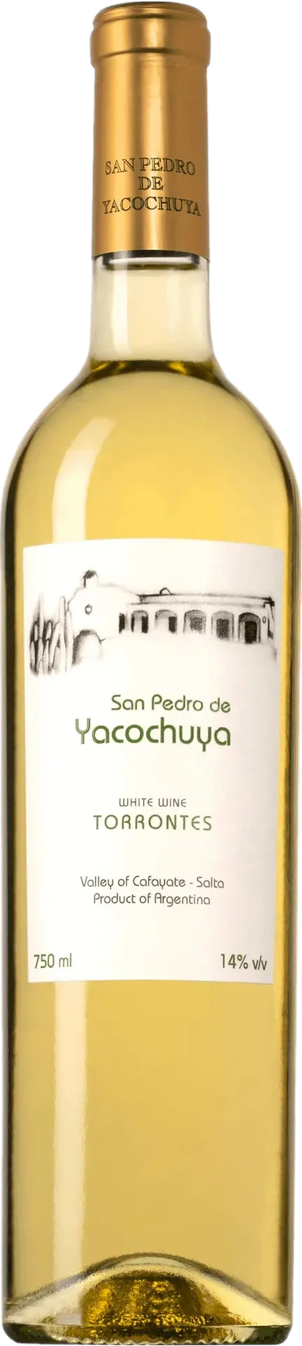 San Pedro de Yacochuya Torrontes 2022 San Pedro de Yacochuya Torrontes 2022