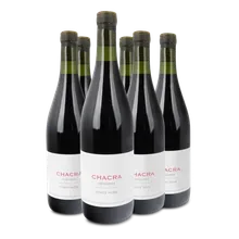 2022 Cincuenta Y Cinco Pinot Noir 2022 Cincuenta Y Cinco Pinot Noir