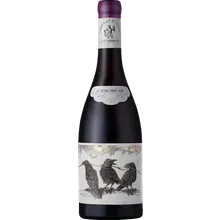 Orpheus & The Raven Conspiracy of Ravens 2022 Orpheus & The Raven Conspiracy of Ravens 2022
