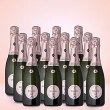 Berlucchi Franciacorta Rosé 0,375l 12er Vorratspaket Berlucchi Franciacorta Rosé 0,375l 12er Vorratspaket
