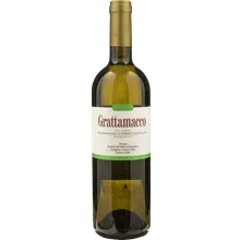 Grattamacco Vermentino Bolgheri 2024 Grattamacco Vermentino Bolgheri 2024