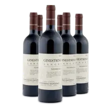 2024 Langhe Nebbiolo DOC Ginestrino 2024 Langhe Nebbiolo DOC Ginestrino
