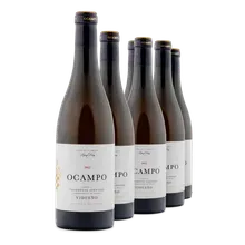 2023 Ocampo Vidueño Blanco 2023 Ocampo Vidueño Blanco