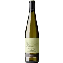 Cantina di Trento Classici Pinot Grigio Trentino DOC 2024 Cantina di Trento Classici Pinot Grigio Trentino DOC 2024