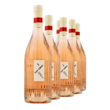 2025 San Greg Campania Rosato IGT 2025 San Greg Campania Rosato IGT