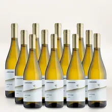 Librandi Critone Bianco 12er Vorratspaket Librandi Critone Bianco 12er Vorratspaket
