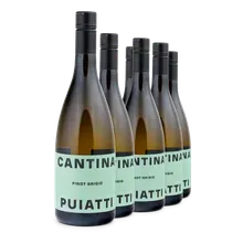 2025 Pinot Grigio Friuli DOC 2025 Pinot Grigio Friuli DOC
