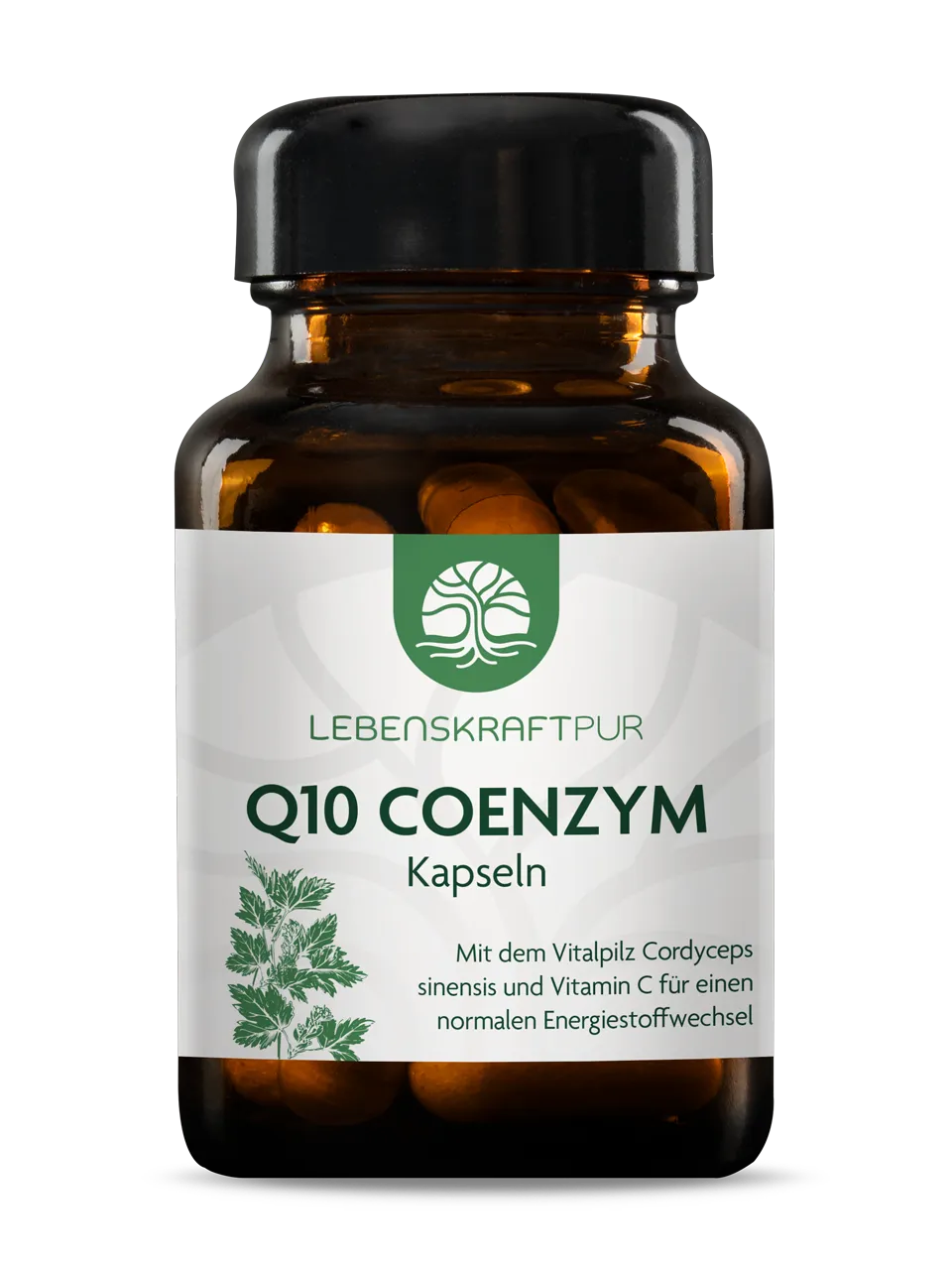 Q10 Coenzym Kapseln Q10 Coenzym Kapseln
