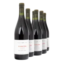 2021 Treinta Y Dos Pinot Noir 2021 Treinta Y Dos Pinot Noir