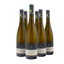 2019 Schiefergestein Bockenauer Riesling trocken 2019 Schiefergestein Bockenauer Riesling trocken