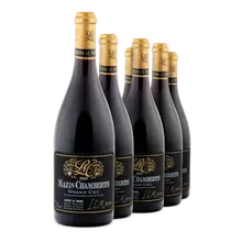 2023 Mazis-Chambertin Grand Cru AC 2023 Mazis-Chambertin Grand Cru AC