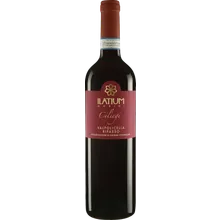 Ilatium Morini Campo dei Ciliegi Valpolicella Ripasso Superiore 2020 Ilatium Morini Campo dei Ciliegi Valpolicella Ripasso Superiore 2020