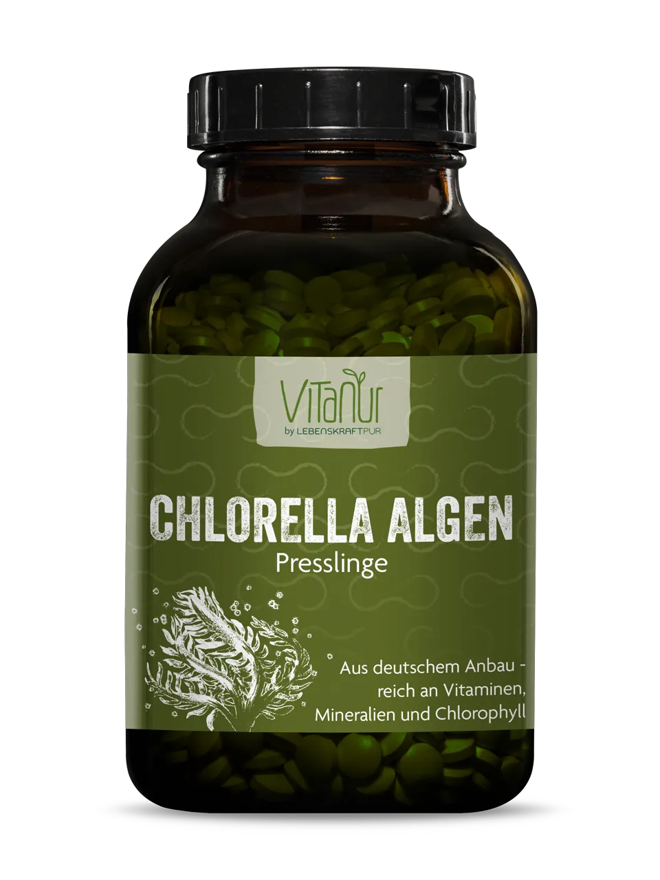 Chlorella Algen Presslinge Chlorella Algen Presslinge
